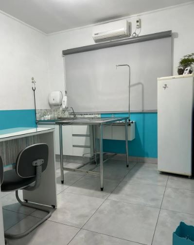 Galeria